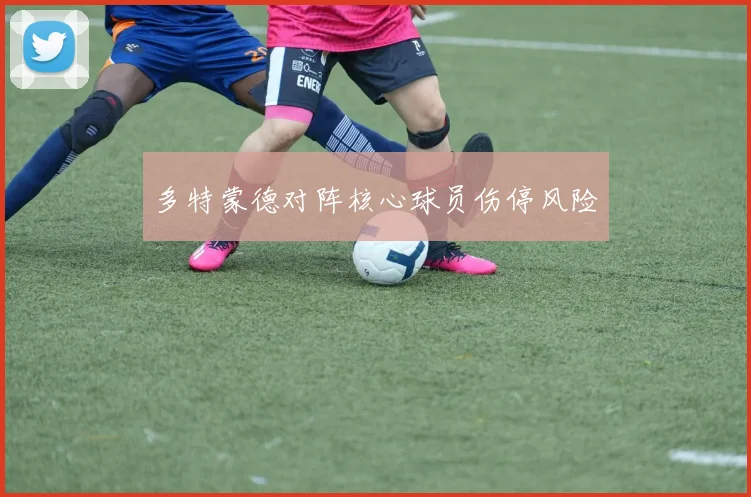 多特蒙德对阵核心球员伤停风险