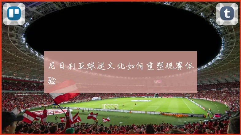 尼日利亚球迷文化如何重塑观赛体验