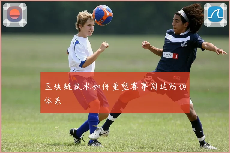 区块链技术如何重塑赛事周边防伪体系
