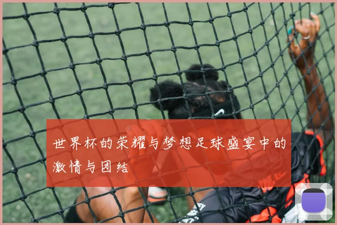 世界杯的荣耀与梦想足球盛宴中的激情与团结