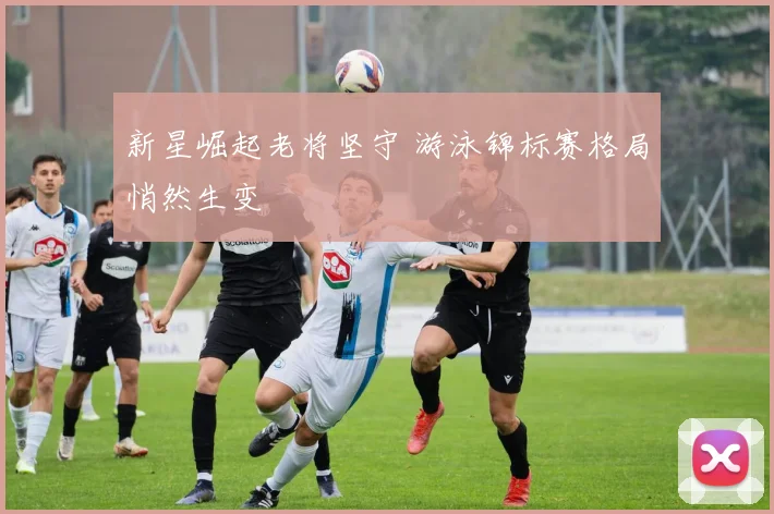 新星崛起老将坚守 游泳锦标赛格局悄然生变
